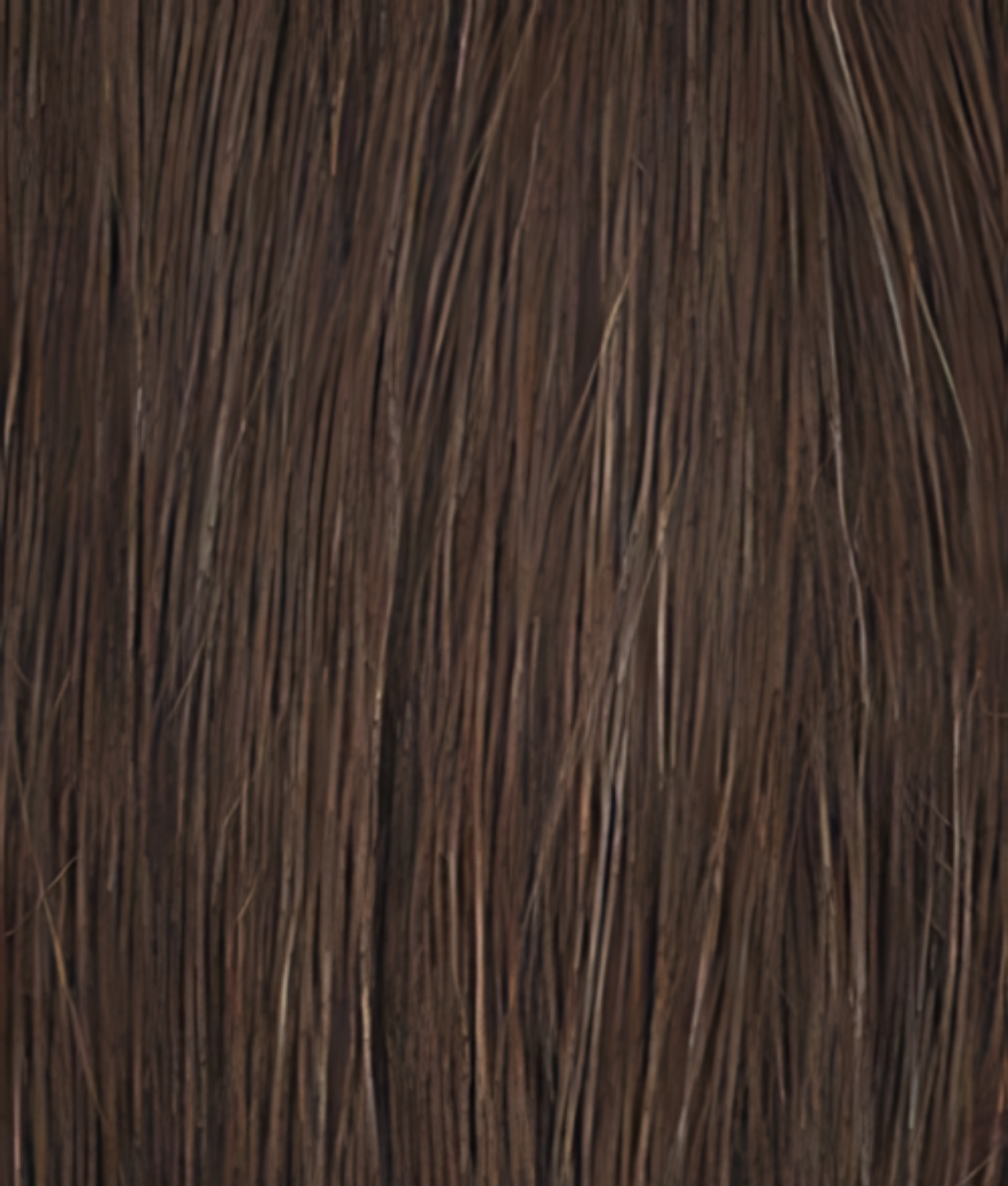 Chataîn Clair - Injéctée