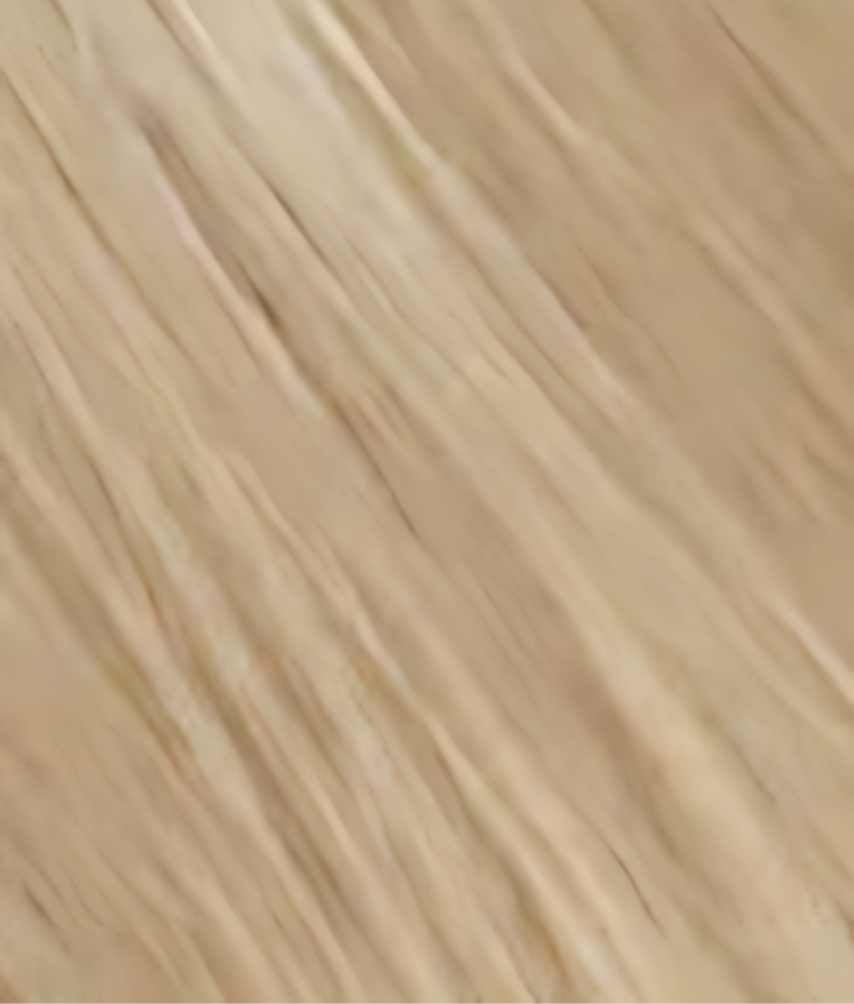 Blond Champagne - Classique