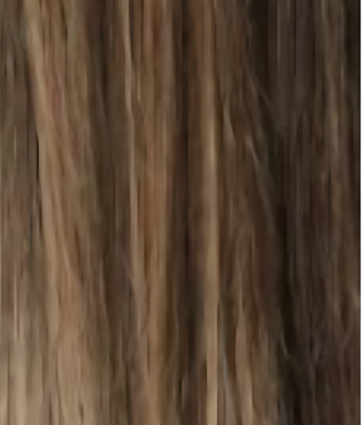 Bronde - Classique